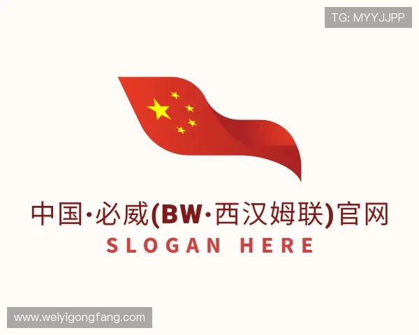 关于必威betway西汉姆联