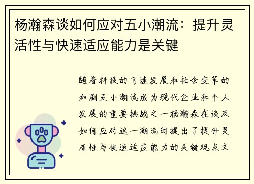 杨瀚森谈如何应对五小潮流：提升灵活性与快速适应能力是关键