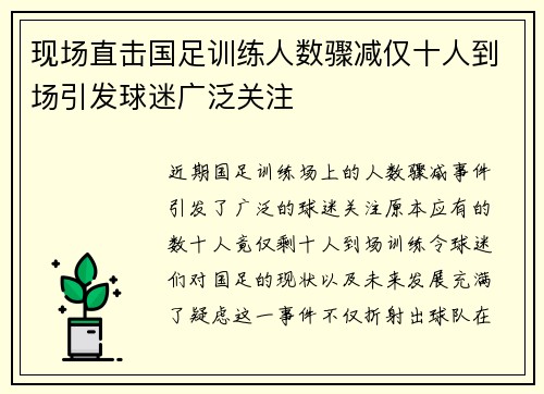 现场直击国足训练人数骤减仅十人到场引发球迷广泛关注